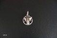 /album/medalhas/me-85-jpg/